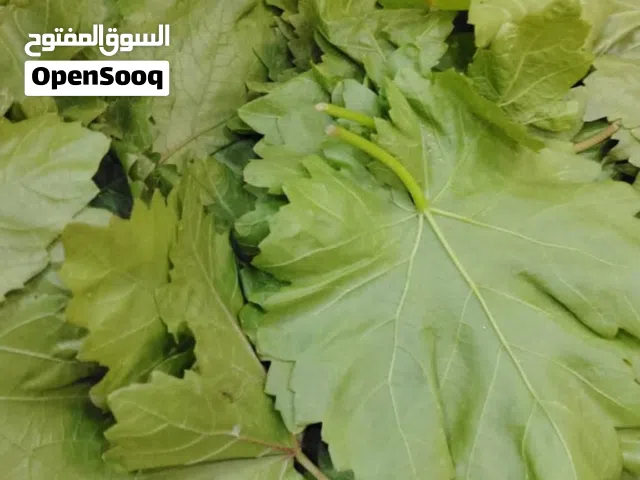 دوالي بلدي 5 فول اخضر 1.25 بازيلا خضراء 1.5 لوز بلدي 3.5 لوز عوجاني 4.5