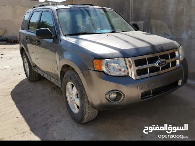 Used Ford Escape in Karbala