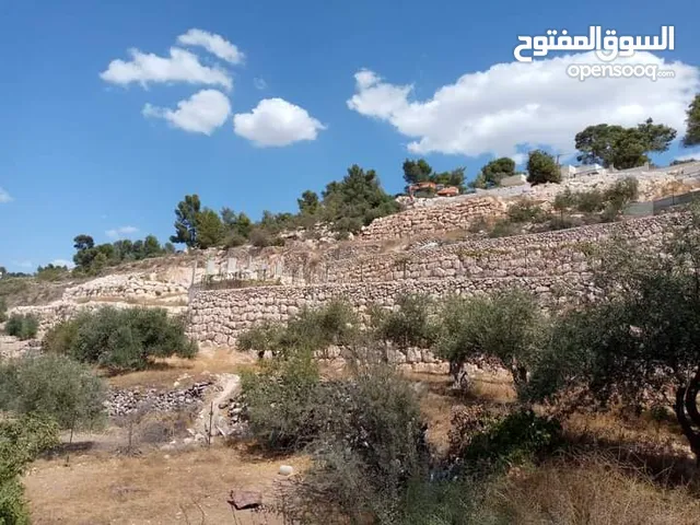 Residential Land for Sale in Hebron Tarqumiyah