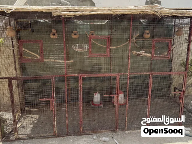 قفص اقل سعر في سوق اقرأ الوصف