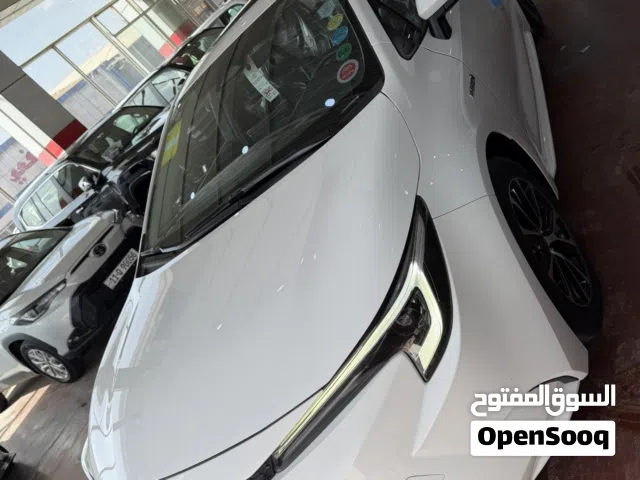 كورلا هايبرد 2023 شكل الامريكي رقم بغداد بسمي فول بدون صبغ