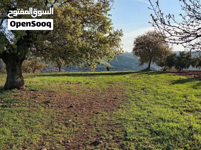Mixed Use Land for Sale in Irbid Hartha
