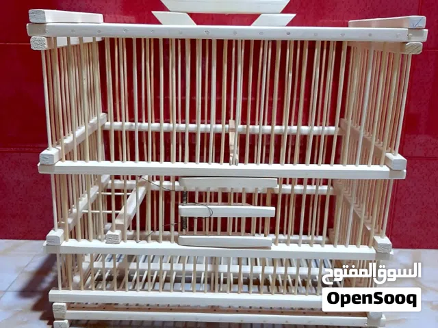عمل اقفاص بلابل درجه اولى