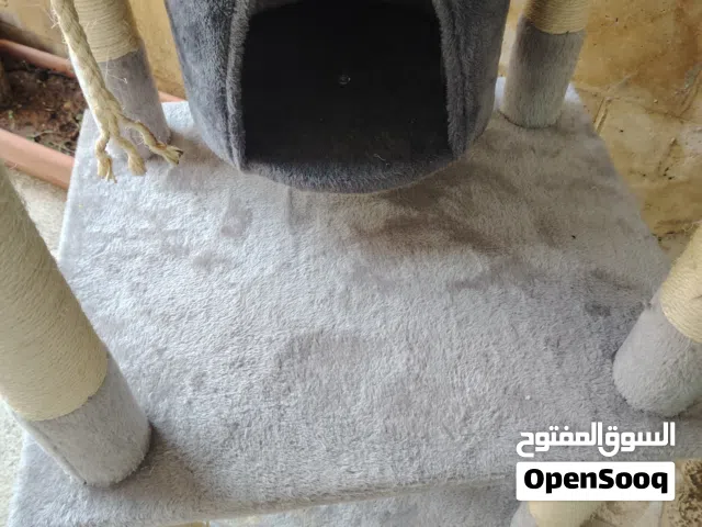 بيت للاسره قطط بحاله ممتازه