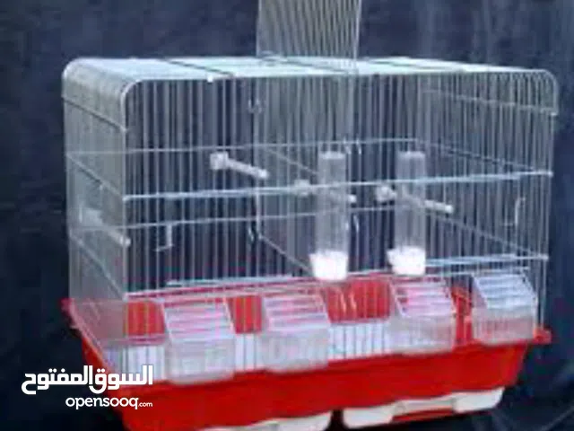 مطلوب اقفاص اربع معالف مستعمله جوز حمام ماسي للبيع