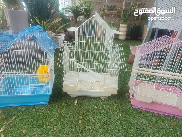 اقفاص الطيور