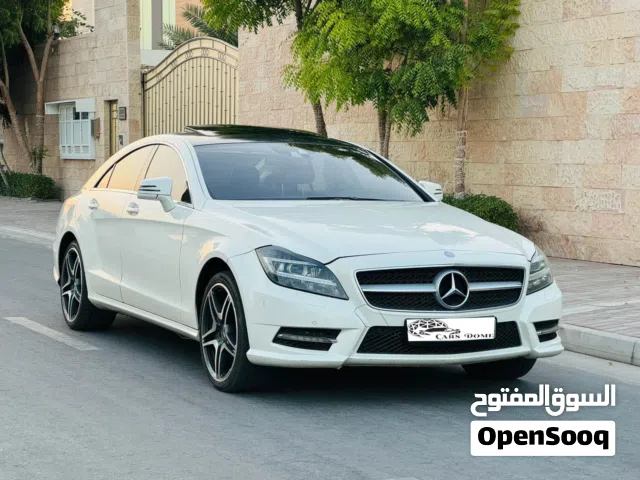 2013 Mercedes Benz CLS-Class CLS 500