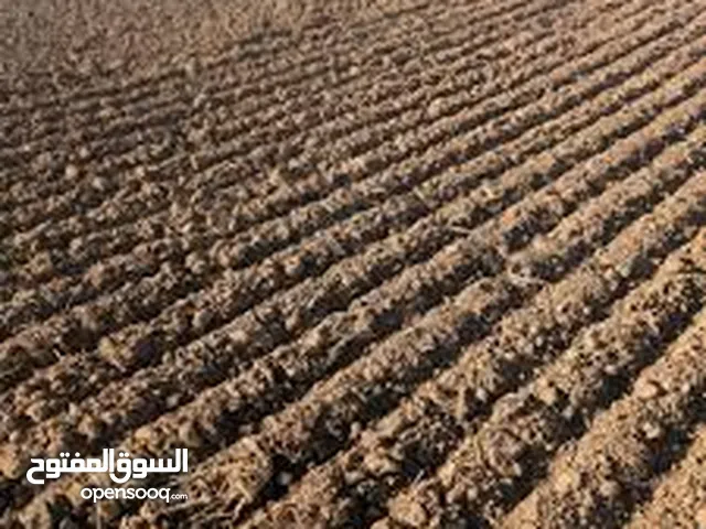 100 Hectares 6500Dt