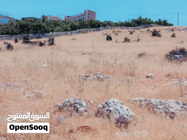 Mixed Use Land for Sale in Ajloun A'anjara