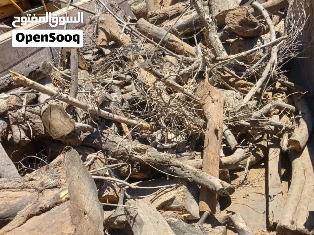 حطب زيتون جاهز للبيع
