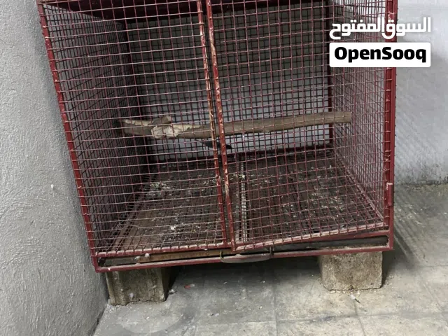 قفص شوف إلاعلان