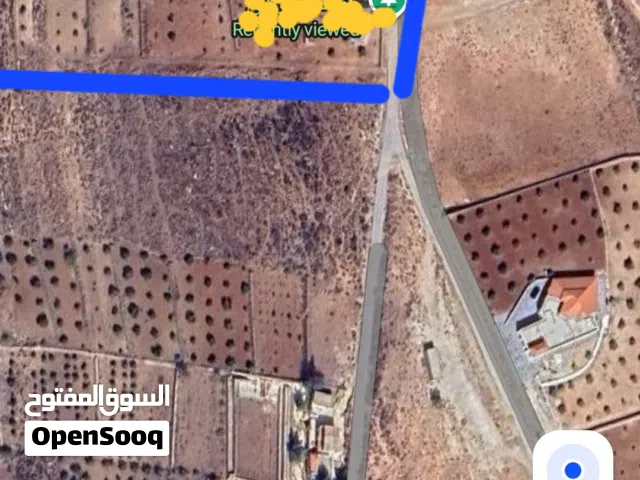 Farm Land for Sale in Salt Seehan