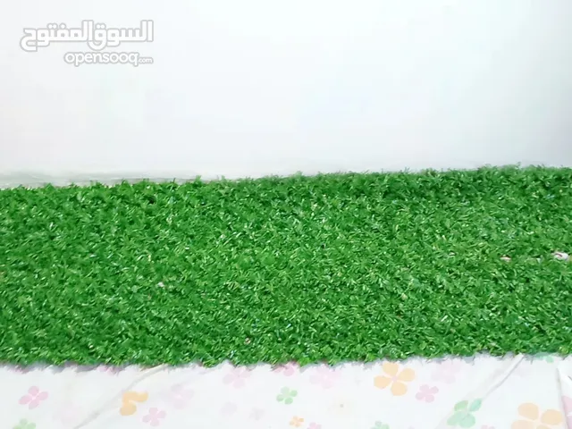 عشب جداري اخضر