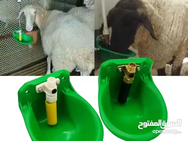 مشارب اغنام