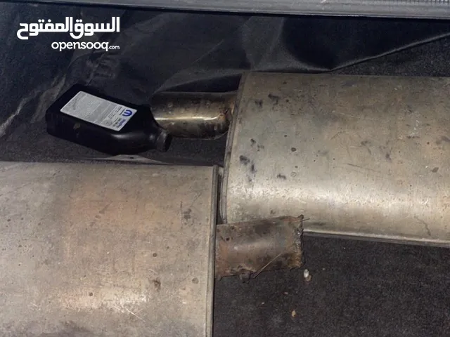 دبات موستنق 2010