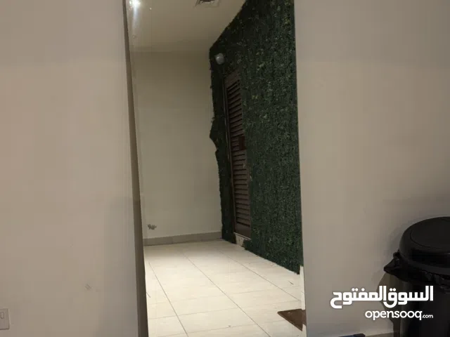 Large full body mirror