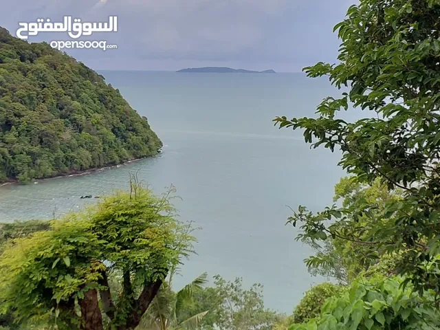 للايجار محل في كفر بطنه