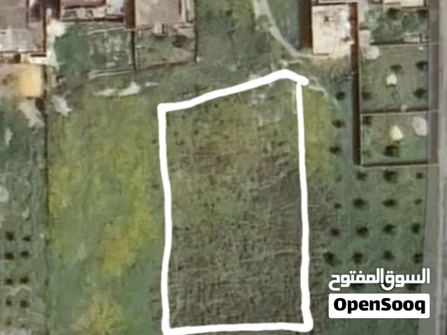 Residential Land for Sale in Nabeul Other