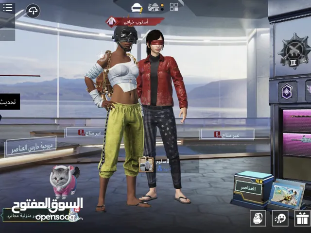 Pubg Accounts and Characters for Sale in Basra