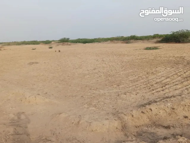 Farm Land for Sale in Abyan Other