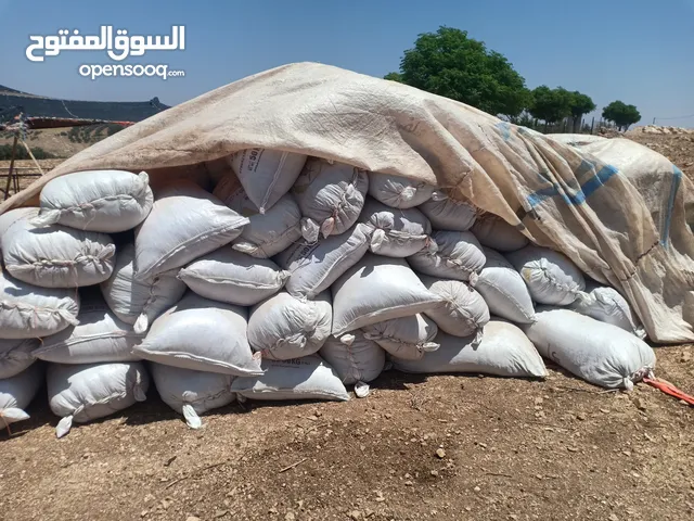 تبن بيجة وزن الشوال 13/14/15