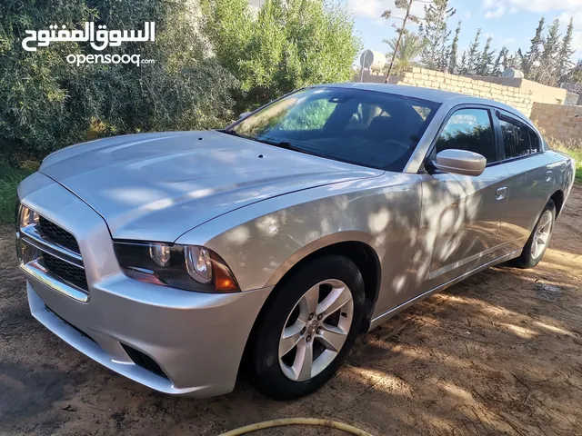 New Dodge Charger in Tripoli