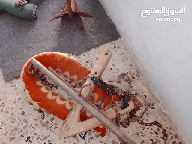 عود بهيم كامله وا عدت حصان كامله الموقع دير ابي سعيد الكوره