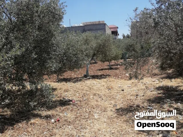 185 m2 4 Bedrooms Townhouse for Rent in Irbid Huwwarah