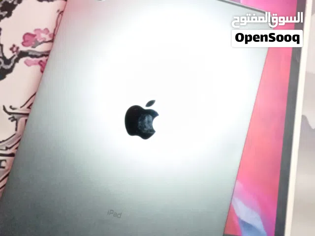 Apple iPad Pro 256 GB in Sabha