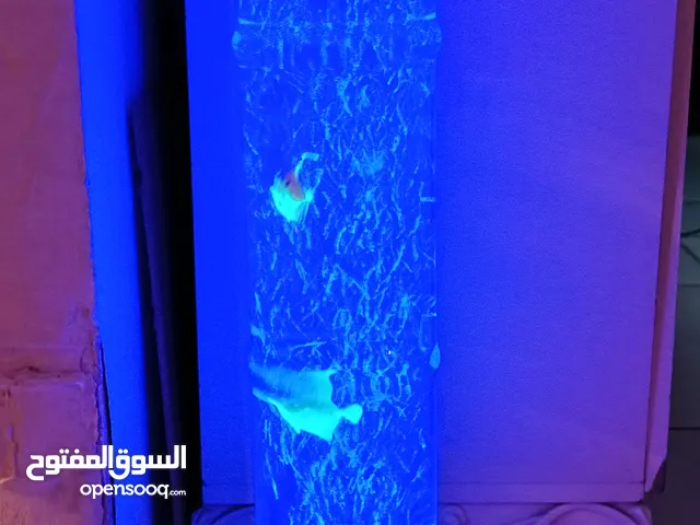 حوض سمك طولي بجنن