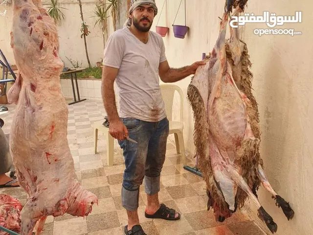 كل عام وانتم بالف خير لحام متنقل لذبح جميع الاضاحي بلمنازل