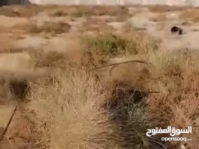 Residential Land for sale in Hoshi (Sharjah)