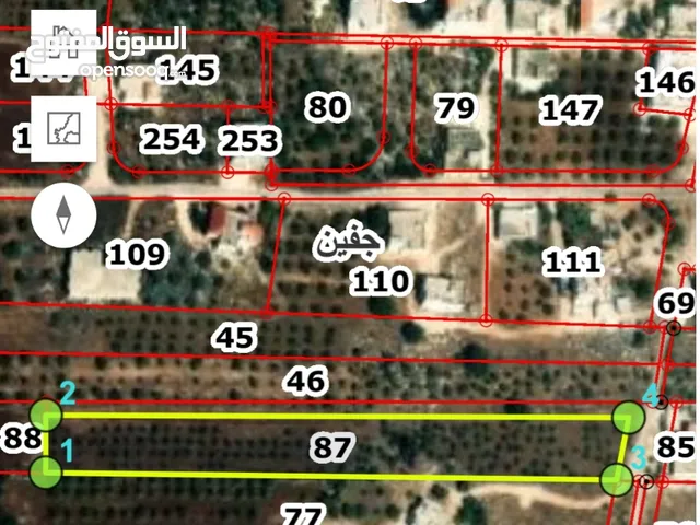 عرض رقم  ( 121) ارض زراعية للبيع في دير ابي سعيد مشجرة زيتون    القرية : جفين   الحوض : علين