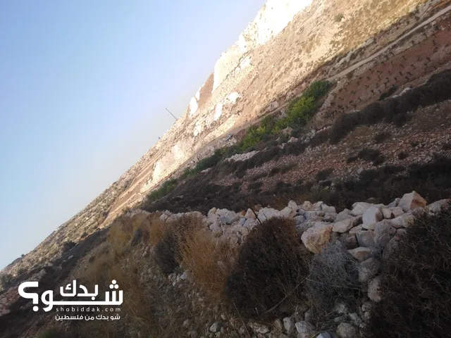 Mixed Use Land for Sale in Bethlehem Beit Fajar