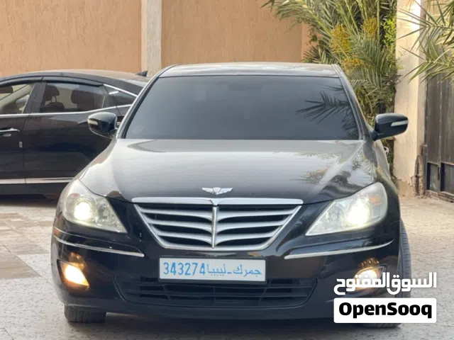 2010 Genesis Other