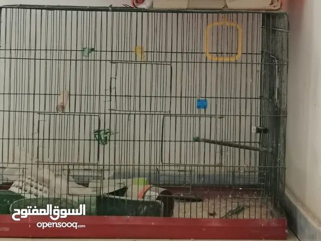 مطير تفصيل ثقيل