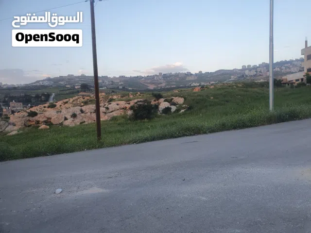 قطعة ارض خلف قصر الاميرة بسمة