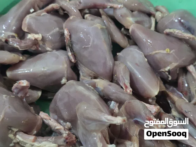 سمان جامبو - تربية فاخرة! لحم طري، طازج، وطعم مميز. نظافة فائقة وجاهز للطبخ  متوفر