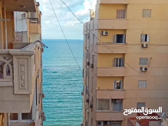 95 m2 2 Bedrooms Apartments for Rent in Alexandria Mandara