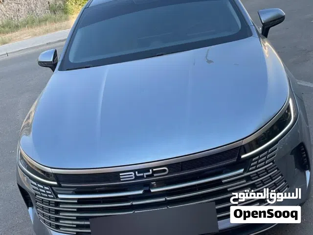 2025 بي واي دي ديستروير