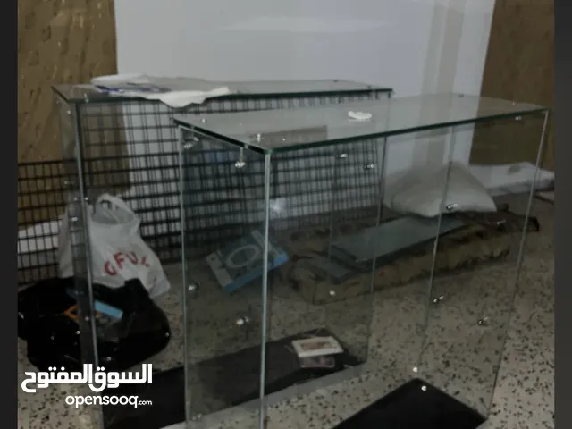 فترينات مرش