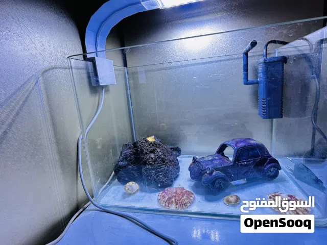 حوض سمك  زجاجي بحواف منحنية