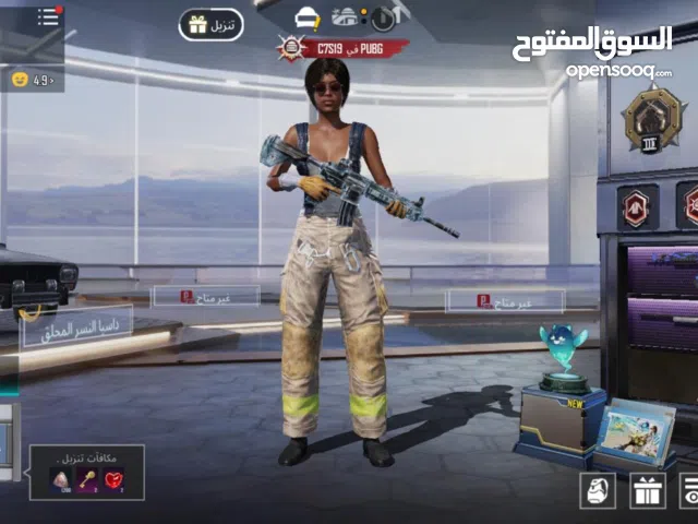 Pubg Accounts and Characters for Sale in Northern Governorate