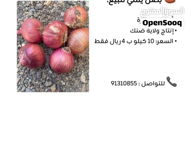 بصل يمني للبيع ب 400 بيسة فقط