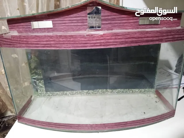 حوض سمك كبير