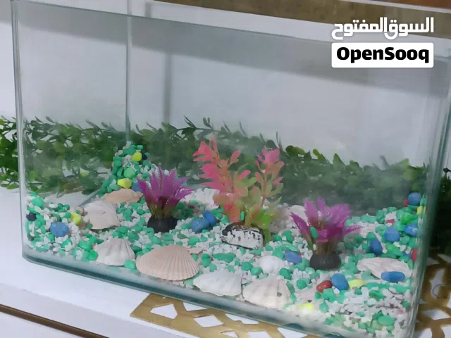حوض سمك للبيع سعر قابل للنقاش