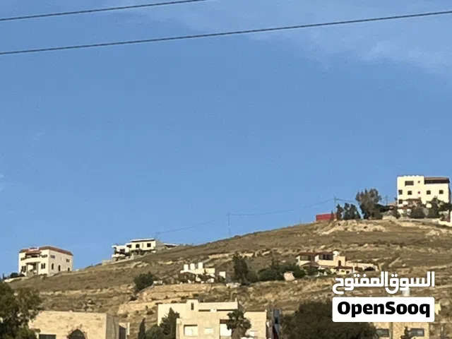 Residential Land for Sale in Zarqa Birayn