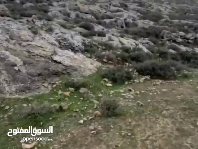 ارض للبيع بمدينه الخليل دورا