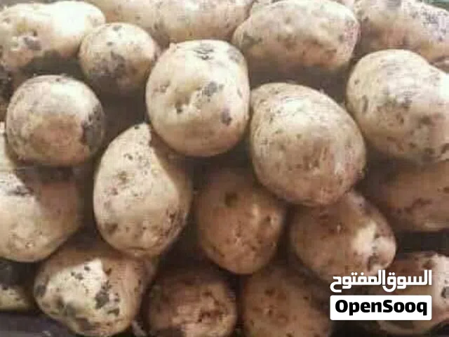 الشرفي لبيع اجود انوع البطاط. الزهراء الحمراء العنوان. السوق المركزي. علي محسن سابقا. الستين الشمالي