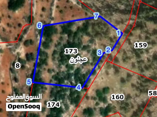 Mixed Use Land for Sale in Ajloun Other